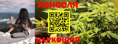спайс Донской