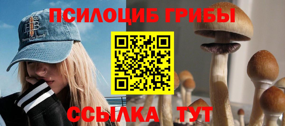 Галлюциногенные грибы ЛСД Пенза